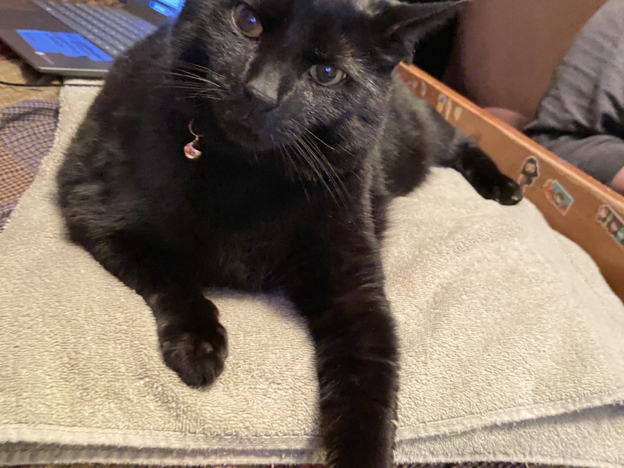 this is my nephew Tony he says hello