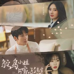 Dear Miss Ostrich Chinese Drama photo