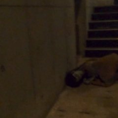 Maze of Fear Japanese Movie photo