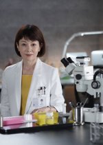 Kasoken no Onna Season 24 Japanese Drama photo