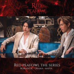 Red Peafowl () photo