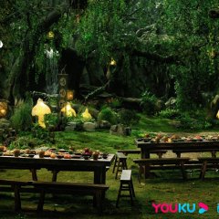 Blooming Chinese Drama photo