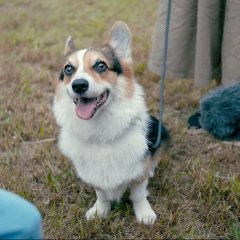The Aobas' Dining Table (2018) photo