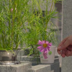 Silent Parade Japanese Movie photo