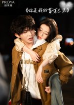Long Premeditated Love Chinese Drama photo