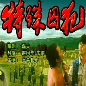 Te Shu Qiu Fan (1995)