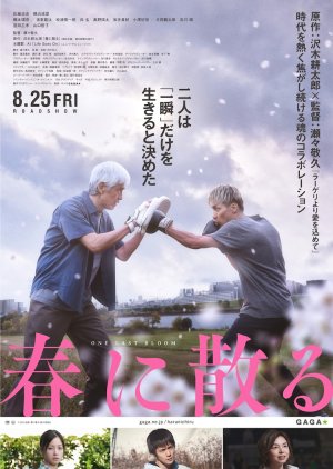 Haru ni Chiru (2023) poster