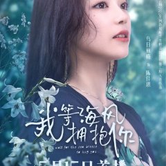 I Wait for the Sea Breeze to Hug You Chinese Drama photo
