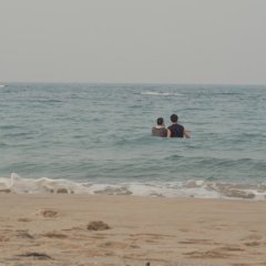 Black Summer Korean Movie photo