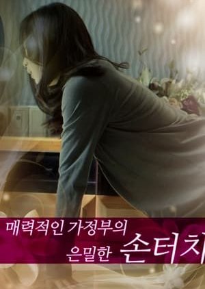Secret Touch of Charming Housekeeper (2013) poster