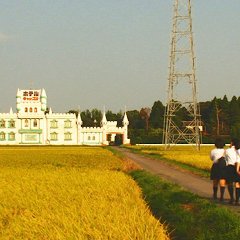 Let's Make the Teacher Have a Miscarriage Club Japanese Movie photo