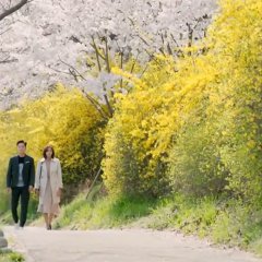 Marriage Contract Korean Drama photo