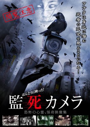 Paranormal Surveillance Camera (2012) poster