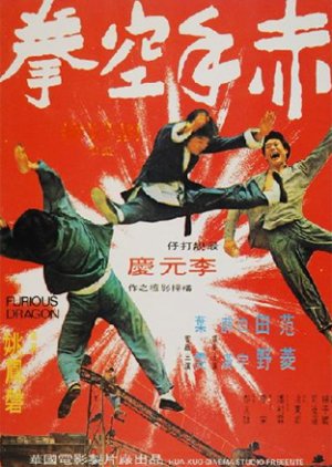 Furious Dragon (1974) poster