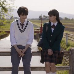 Que Chegue a Você: Kimi ni Todoke (live-action), Dublapédia