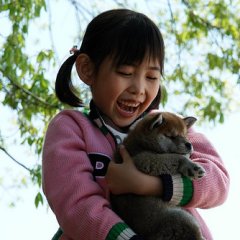 A Tale of Mari and Three Puppies Japanese Movie photo