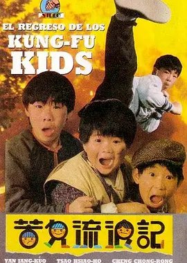 Kung Fu Kids III (1987) poster