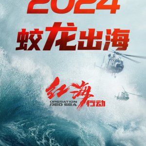 Operation Red Sea 2 (2025)