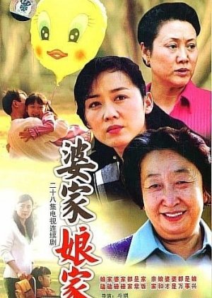 Po Jia Niang Jia (2006) poster