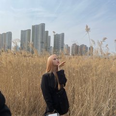 Fresh Romance Korean Drama photo