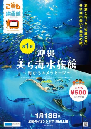 Okinawa Churaumisuizokukan Umi kara no Messeji (2014) poster