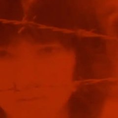 Love Song Japanese Movie(1984) photo