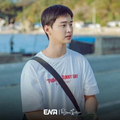 Like Flowers in Sand (2023) photo