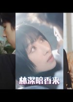 Lin Shen An Xiang Lai Chinese Drama photo