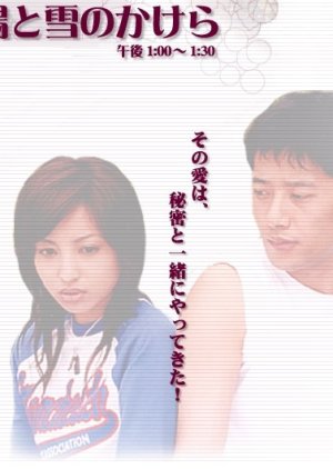 Taiyou to Yuki no Kakera (2002) poster