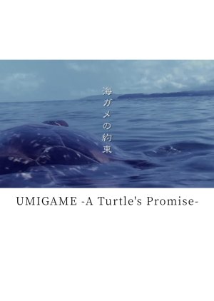 Umigame A Turtle’s Promise (2016) poster