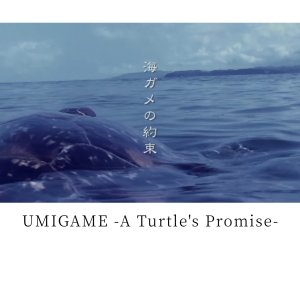 Umigame A Turtle’s Promise (2016)