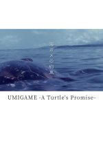 Umigame A Turtle’s Promise Japanese Movie photo