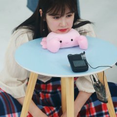 Apink Amigo TV Korean TV Program photo