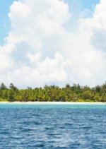 Chain Reaction Korean TV Program photo