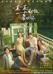 Love Can't Be Said chinese drama review