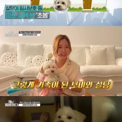 Dogs Are Incredible (2019) photo