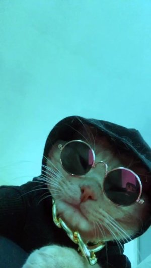 Mar_shik