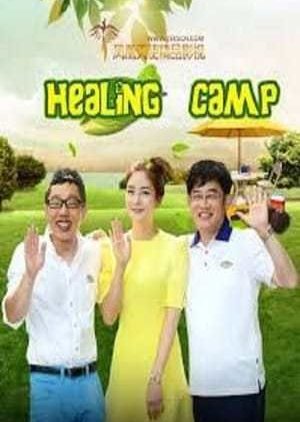 Healing Camp (2011) poster