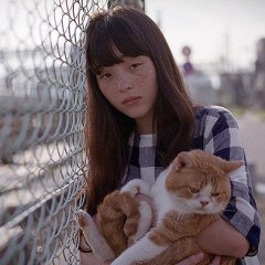 Neko, Kaeru: Cat's Home Japanese Movie photo