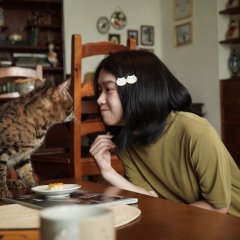 Meow Meow Boss Taiwanese Drama photo