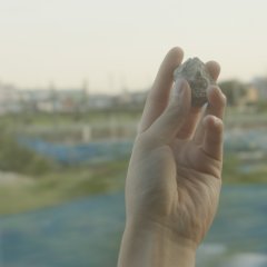 The Sleeping Insect Japanese Movie photo