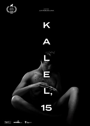 KALEL, 15 (2019) poster