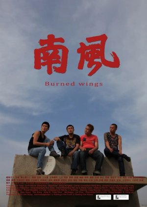 Burned Wings (2012) poster