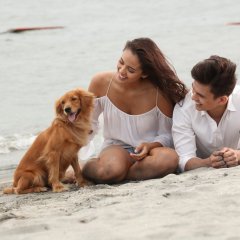 Marimar Philippines Drama(2015) photo