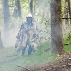 Jirisan Korean Drama photo