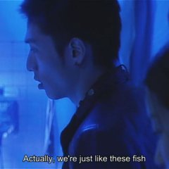 Kakuto Japanese Movie photo