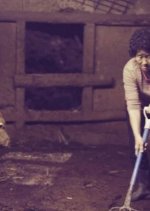 Burning Flower Korean Movie photo