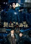 Winter Begonia chinese drama review