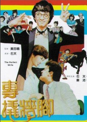Perfect Wife (1983) poster