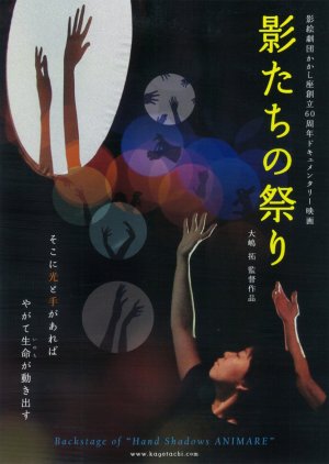 Shadow Festival (2013) poster